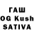 Галлюциногенные грибы Psilocybine cubensis Kings Jack