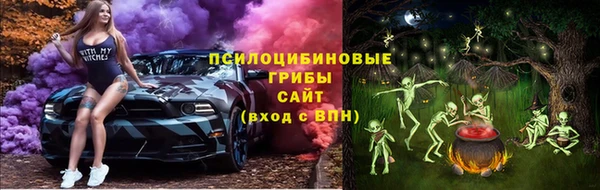 кокаин Каменка