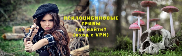 кокаин Каменка