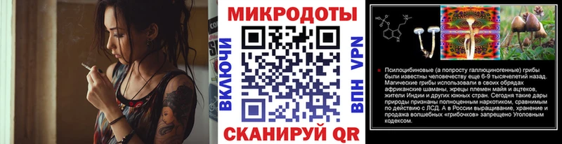 Псилоцибиновые грибы GOLDEN TEACHER  Купить закладки  Гдов 
